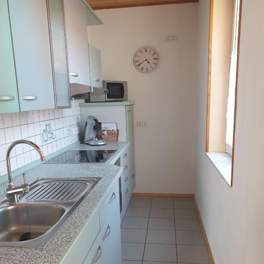 Fewo Pfalzwohnung Ellerstadt 外观 照片